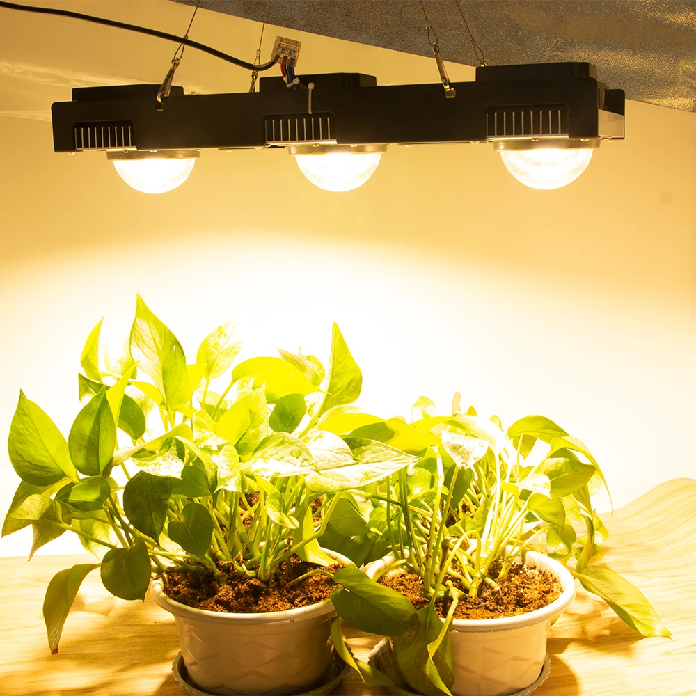 200 Вт 300 CREE CXB3590 COB LED Grow Light полный спектр Citizen Plant Lamp для комнатных растений теплицы