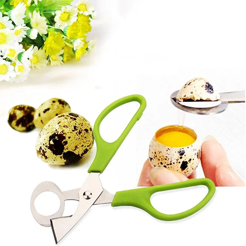 12 Pcs Stainless Steel Bird Egg Shears Quail Egg Shell Cutters Separator Quail Egg Scissor Egg