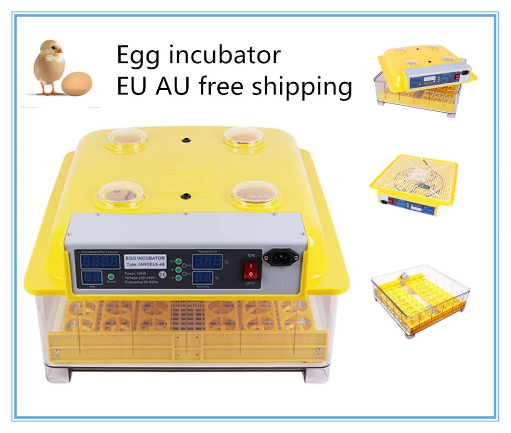 Fast ship from Australia ! Mini 48 Chicken fully Automatic