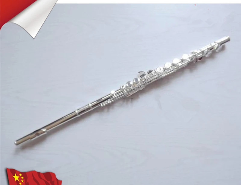 2018 New Hot Flute 211SL musical instrument Flute 16 Closed E-Key High Quality Flute music professional shipping