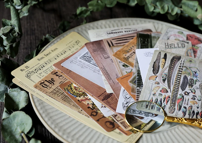 TB2dwh1jrSYBuNjSspiXXXNzpXa_!!176790221