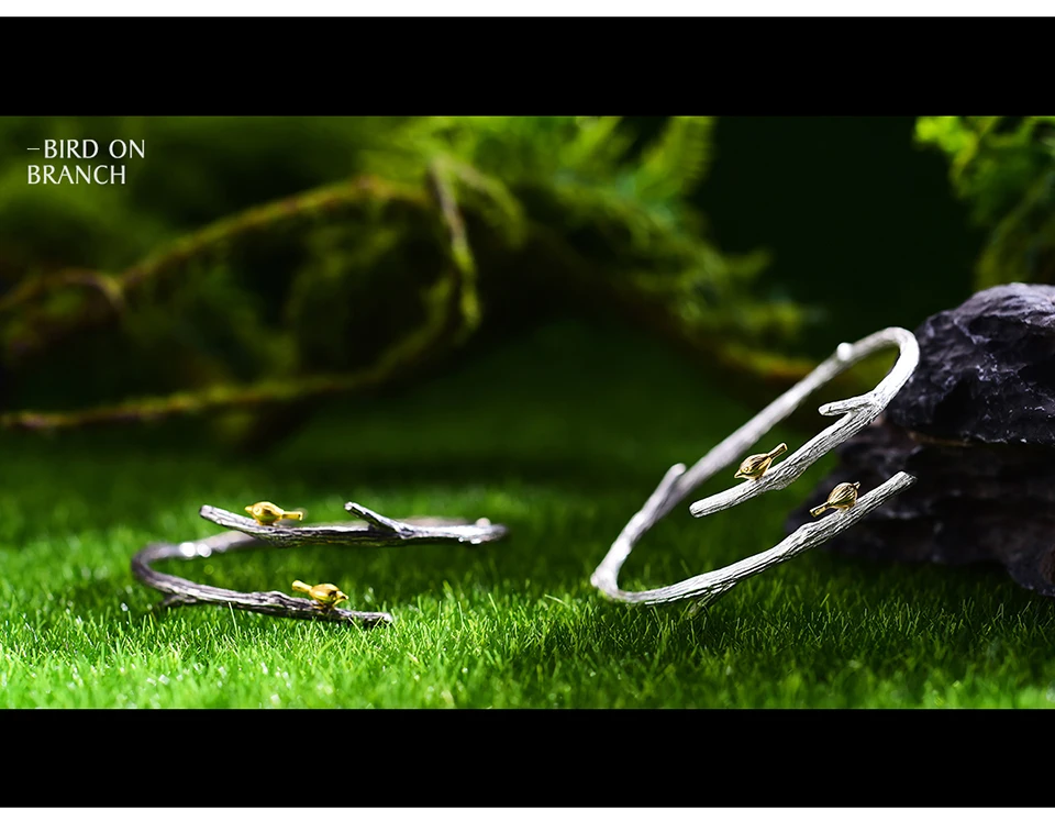 LFJH0009-Bird-on-Branch_02