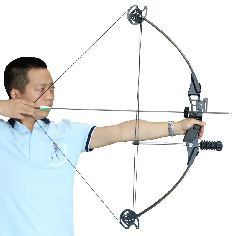 Compound Bow and Pulley Bow Hunting Bow and Arrow Outdoor Archery