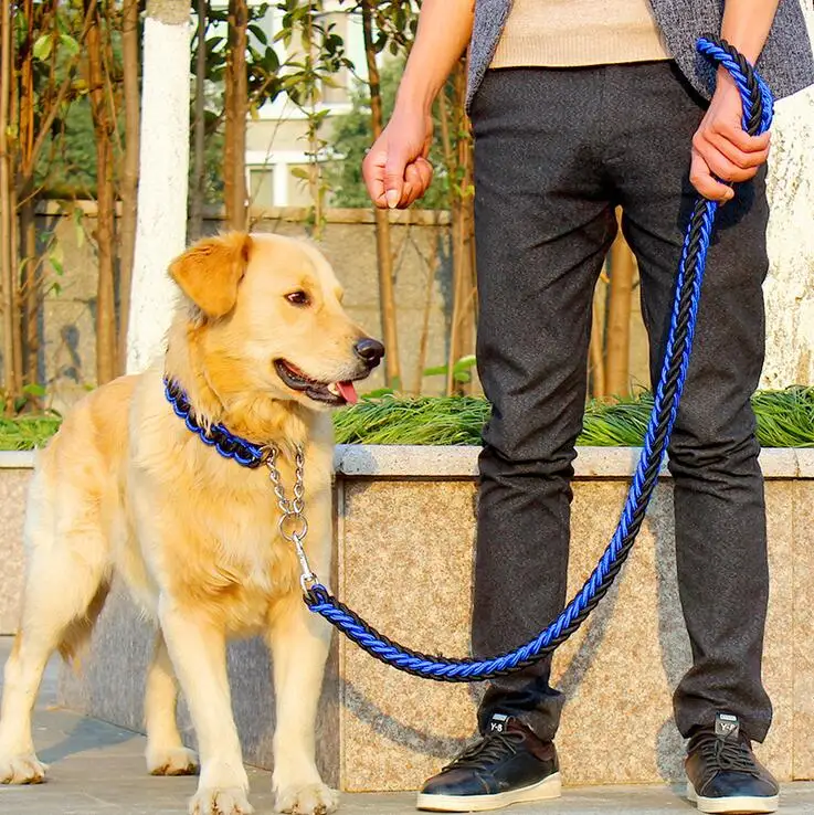 chain leashes for big dogs