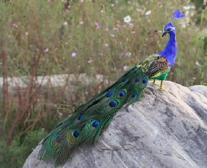 real-life-toy-bird-45cm-beautiful-feathers-peacock-model-turn-head-back-handicraft-home-garden-decoration-party-props-toy-h0577