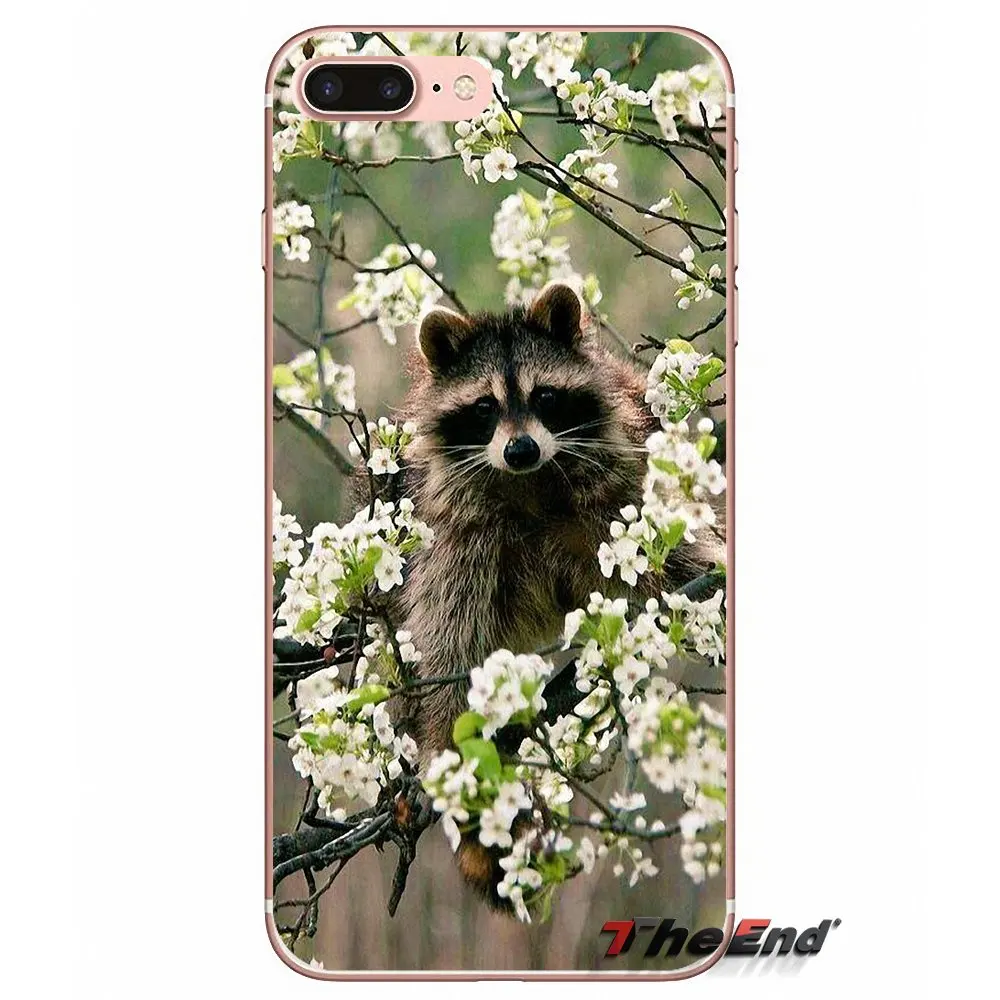 Для Huawei P Smart Y6 P8 P9 P10 Plus Nova P20 Lite Pro Mini 2017 SLA L02 L22 2i Kawaii Детские еноты ТПУ чехлы