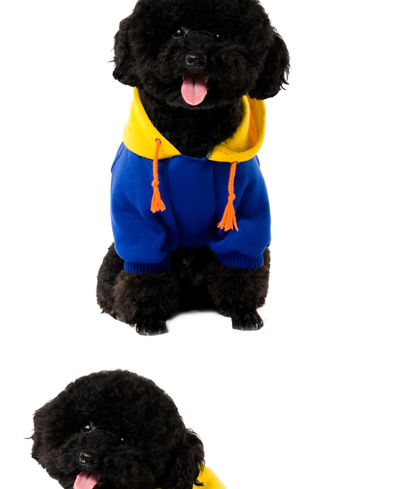 13 dog jumpers 