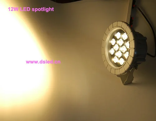 Высококачественный высокомощный Светодиодный прожектор для улицы 12 Вт, светодиодный проектор, 110В-250В переменного тока, DS-06-20-12W, чип edison