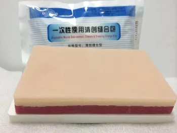 

human baby anatomy skull skeleton anatomical brain model mixer in trauma for sale esqueleto anatomia