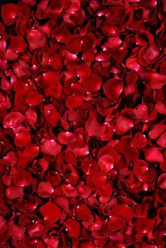 

Vintage Floral Photography Backdrop flowers wall newborns studio vinyl photo booth background wedding photo backdrops XT-1376