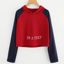 Women Hoodie Sweatshirt Jumper Sweater Crop Top Letter Print Pullover Tops #25