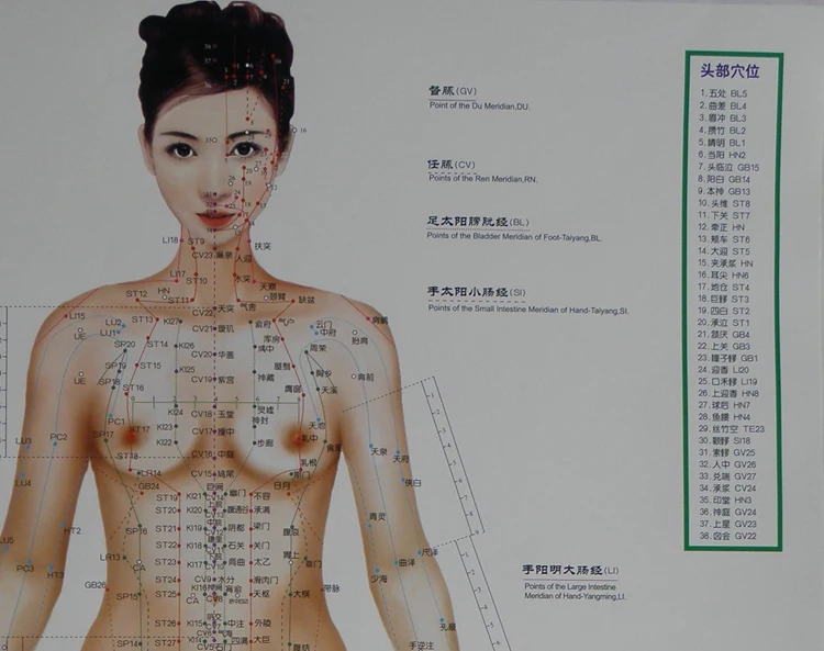 Человек для тела, меридиан acupoint стандартная настенная таблица женский китайский и английский код, 3 диаграммы в 1 наборе