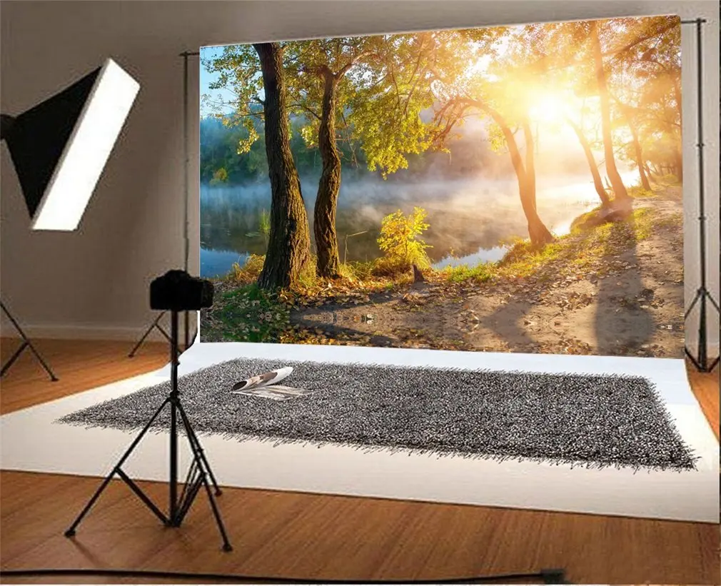

7x5t Photography Backdrop Jungle Trees River Fog Golden Leaves Sunshine Nature Autumn Photo Background