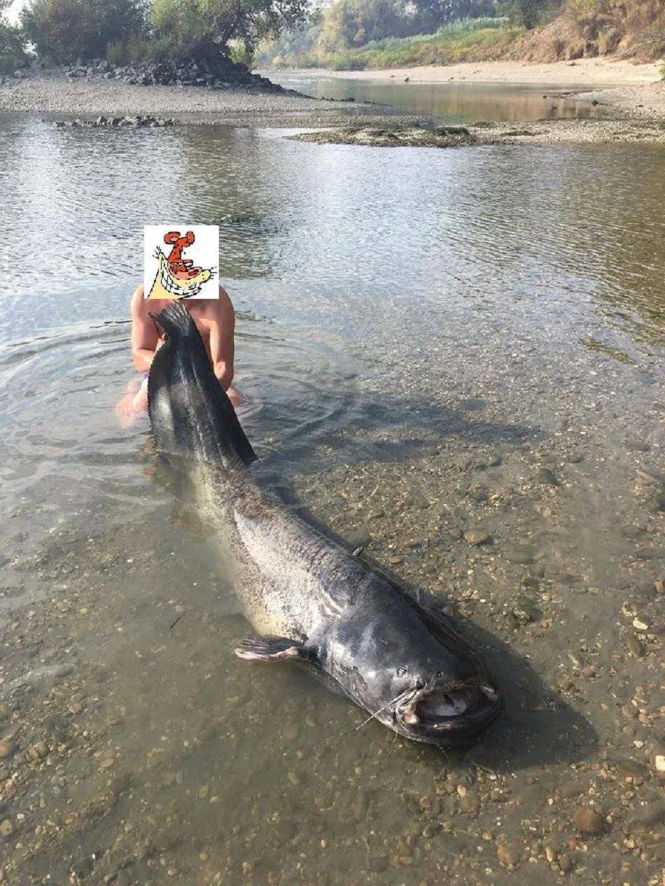 1 (2)
