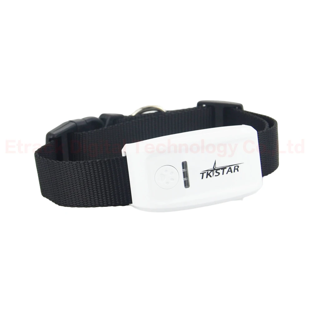 тристар gps ошейник. трекер тк 909. Tk909 gps трекер. Tk909 gps трекер. Tk-star tk909 gps tracker.