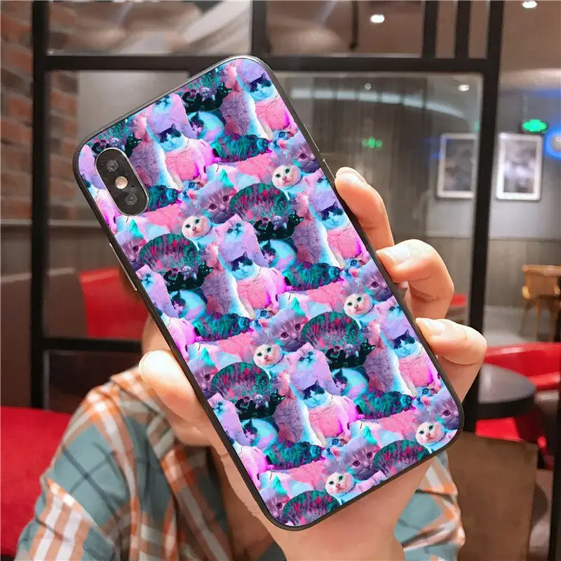 Kawaii lovely Cat 