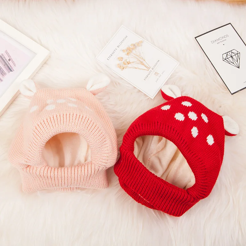 5295758201_925537139