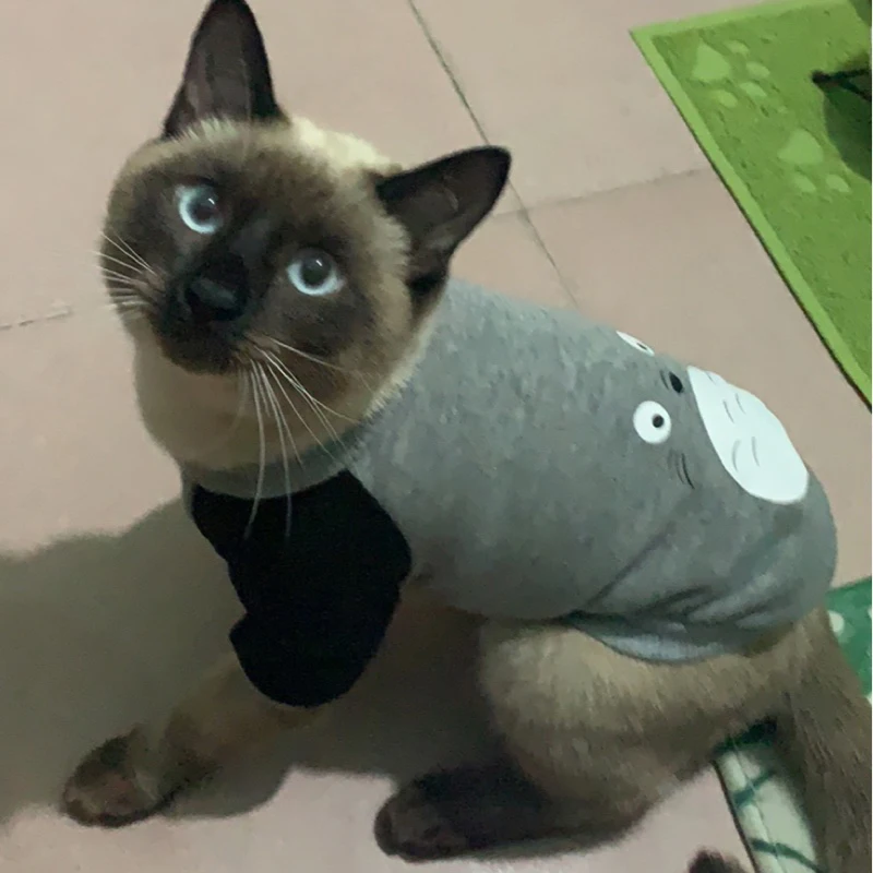 Костюм с мультяшным котом Милая удобная одежда для домашних животных Толстовка