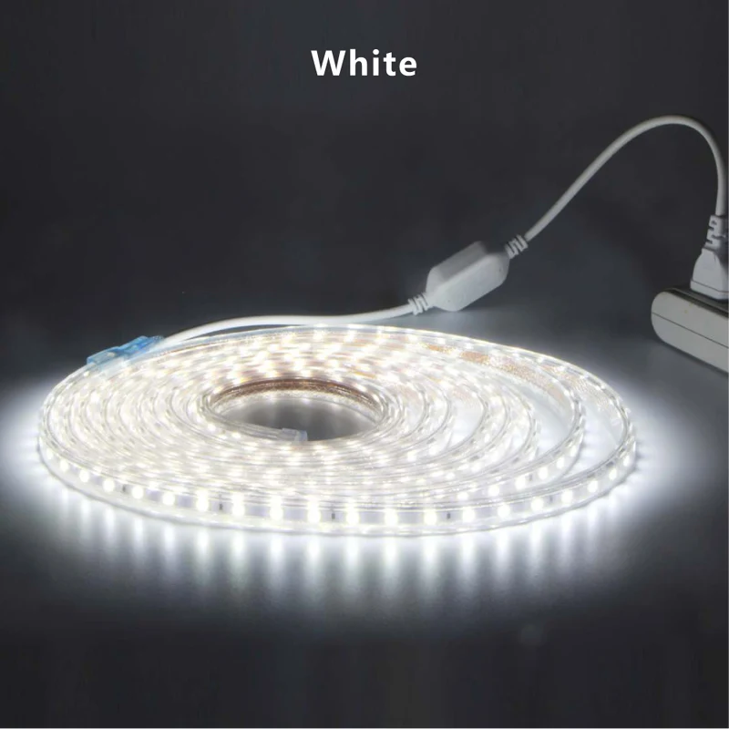 Waterproof Led Strip 5050 White Warm White Blue 220V Flexible Light With Power Plug Tape for