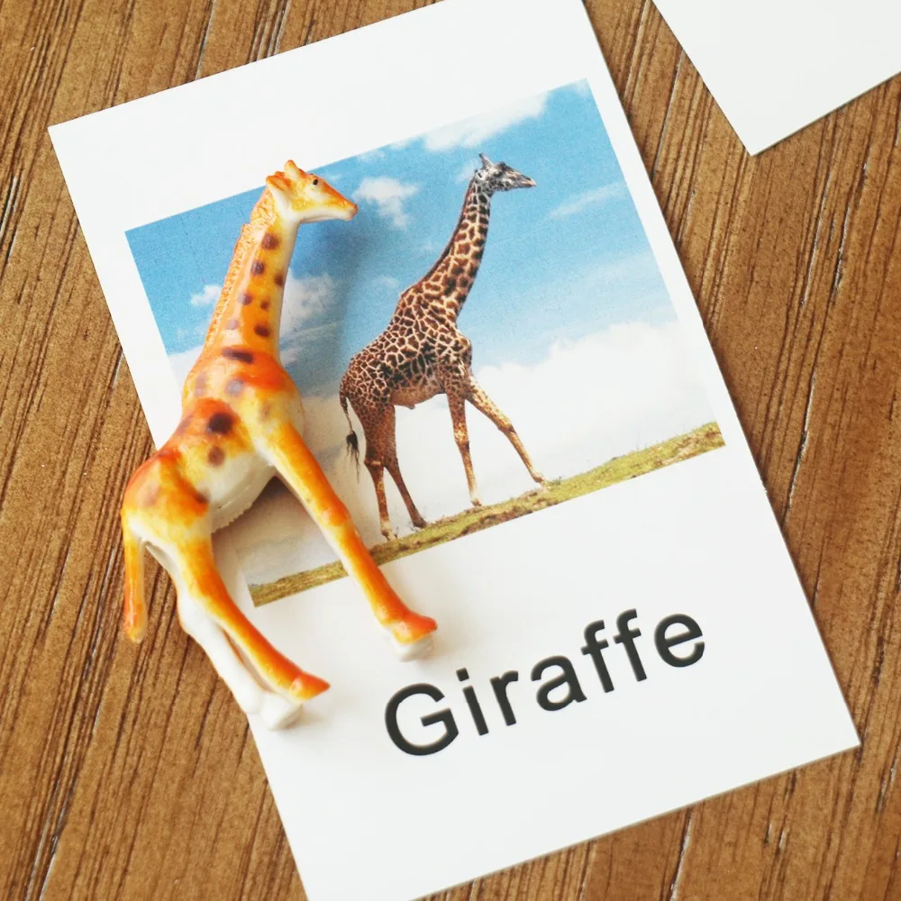 Montessori Infant Toys Montessori Animal Cards Preschool Learning Educational Toys for Toddlers Juguetes Brinquedos MI3044H Montessori Infant Toys Montessori Animal Cards Preschool Learning Educational Toys for Toddlers Juguetes Brinquedos MI3044H