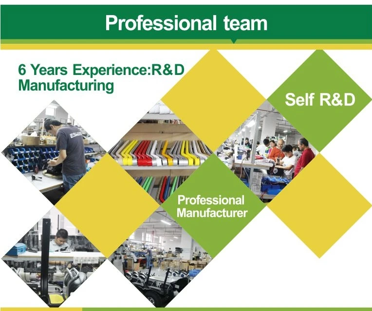 No Tax Self Balance Scooters Leg Control Cross Country 2 Wheel 2400W 19inch Electric Scooter 72V Samsung Battery Hoverboard  (187)_conew2