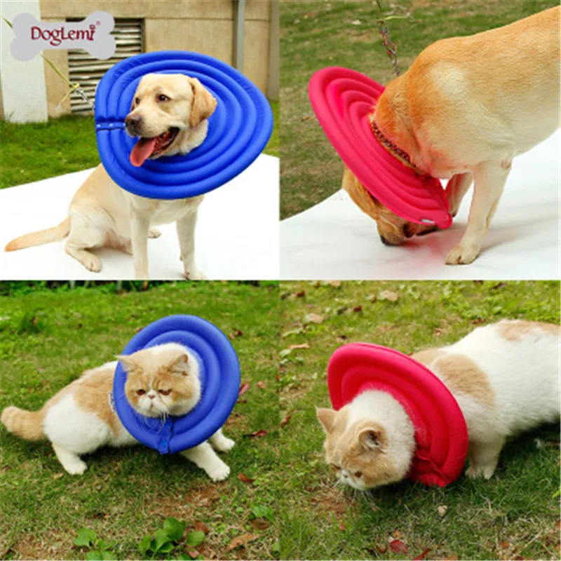 DogLemi удобный защитный чехол для домашних животных кошек и собак от укусов Ранок|cat