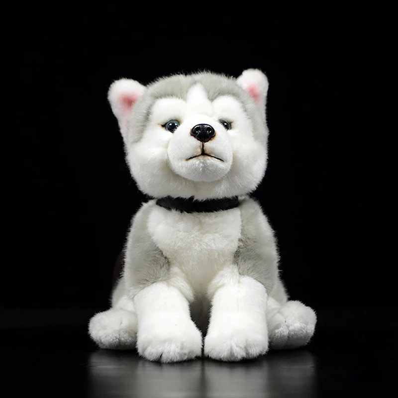 husky dog teddy bear