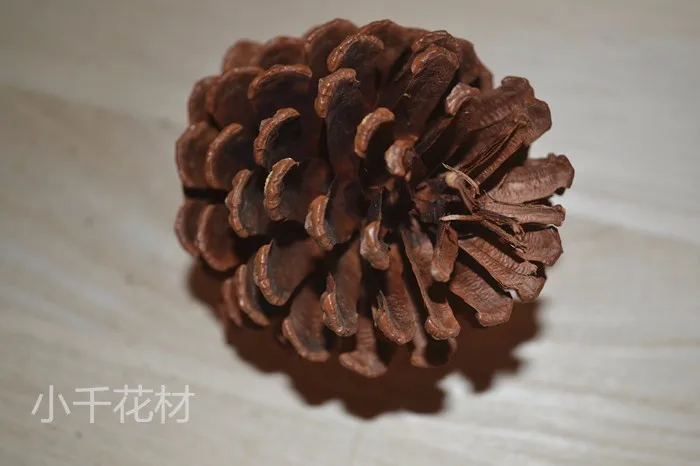 Natural-pine-cones-pine-cone-8cm-shooting-decorative-artificwers-dried-flowers-Yunnan-dried-flowers-really
