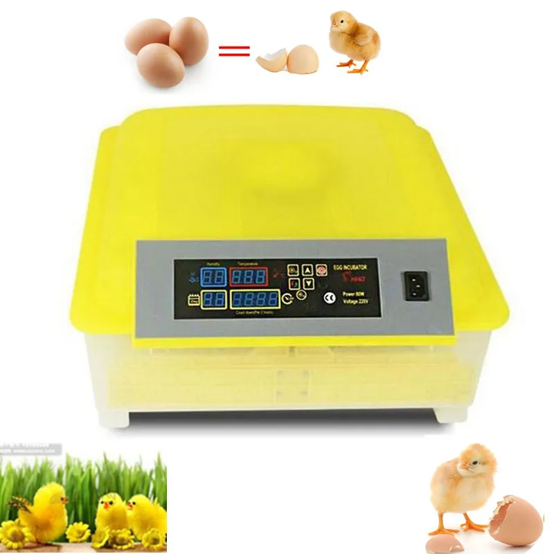 

Digital Temperature Control Automatic incubator machine mini home use household commercial industrial chicken duck incubator