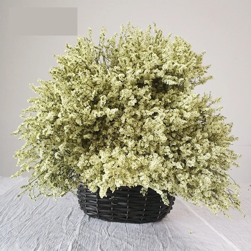 Preserved Fresh Dried Crystal Grass Branch For Wedding Home Party Holiday Decorate DIY Bouquet Project Accessory SAD71 (3)