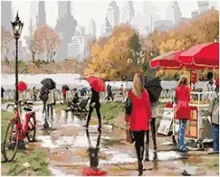 Cioioil-T512 a rainy day at the Central Park New York Раскраска по номерам на холсте Ручная роспись