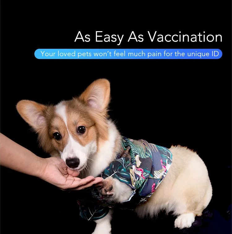 For dog identify