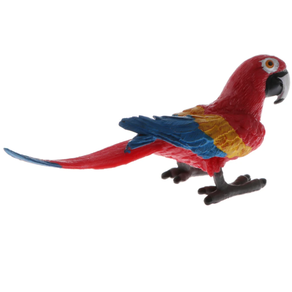 Plastic Realistic Wildlife Jungle Forest Animals Parrot Action Figure Toys Playset, Eduactional Toys For Kids Collectibles