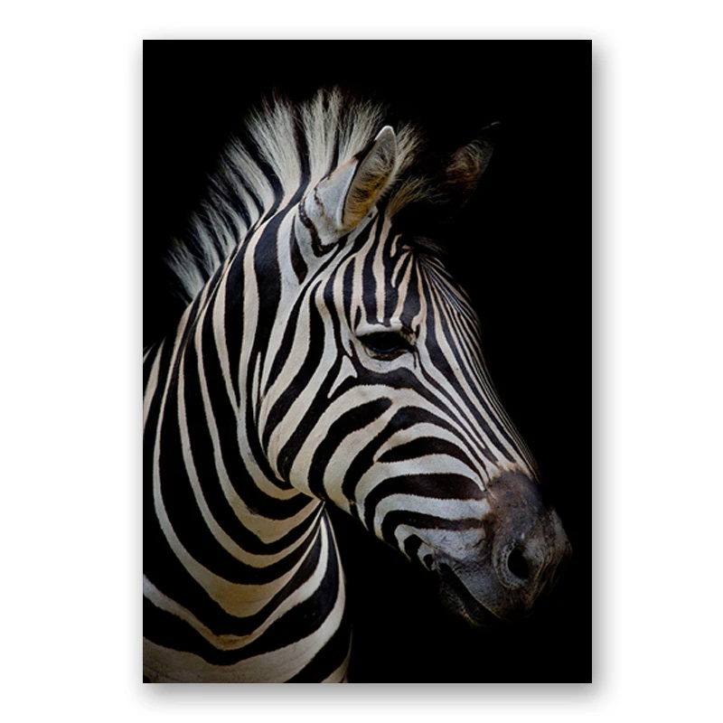 Современные телефоны на Windows Африка дикая природа животные черный белый холст картина плакат печать стены Искусство картина для гостиной домашний декор - Цвет: zebra
