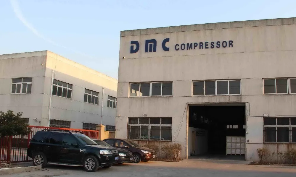 DMC 1