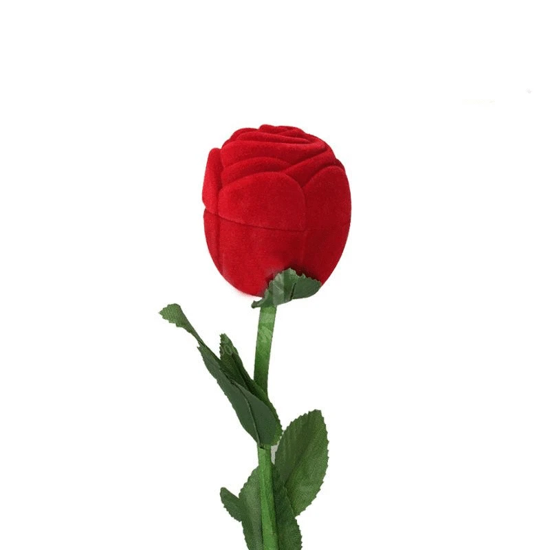 TIM20190416104247
