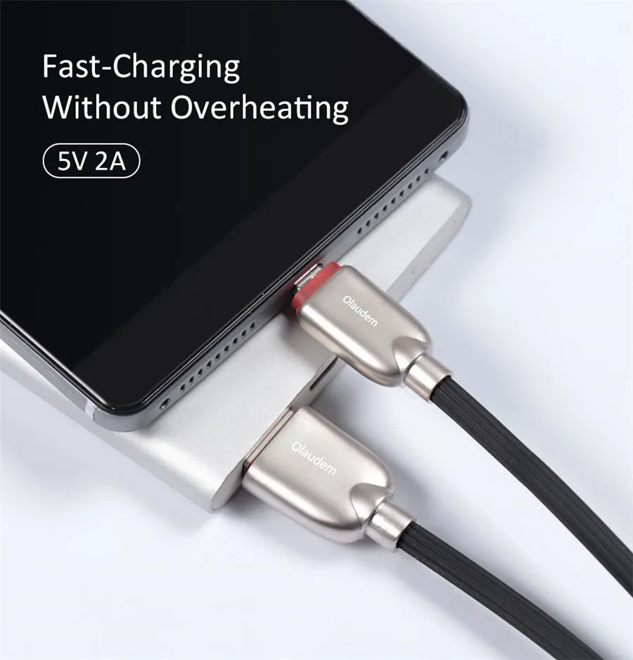 Cable Micro USB (2)
