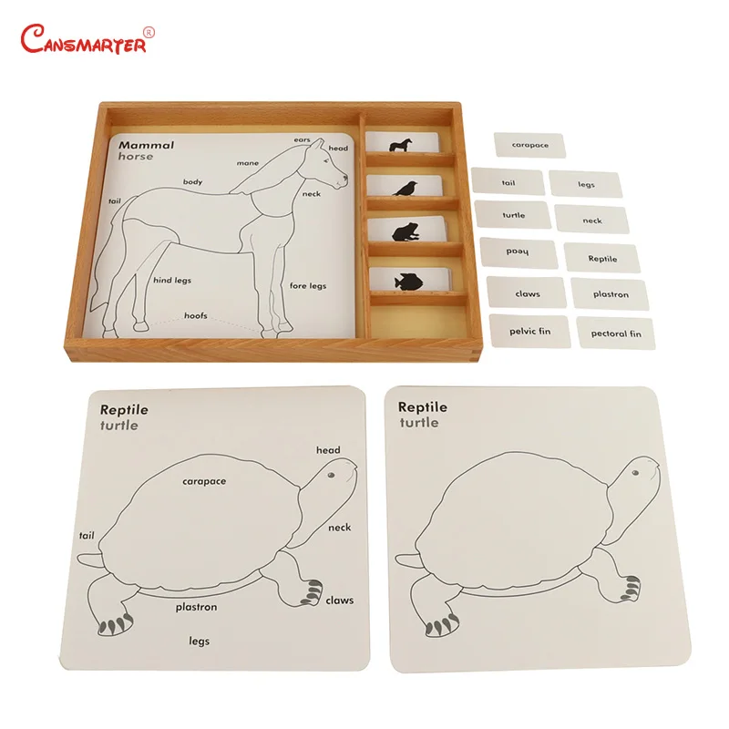 

Botany Puzzle Activity Set Montessori Plants Animals Card PVC Box Beech Wood Children House Toys Games Puzzles for Kids BO053-3