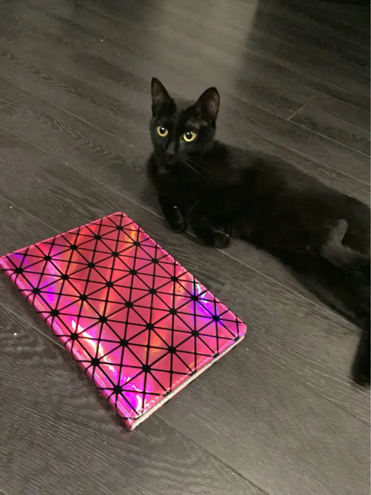 UT8V8Y7XOtaXXagOFbXW