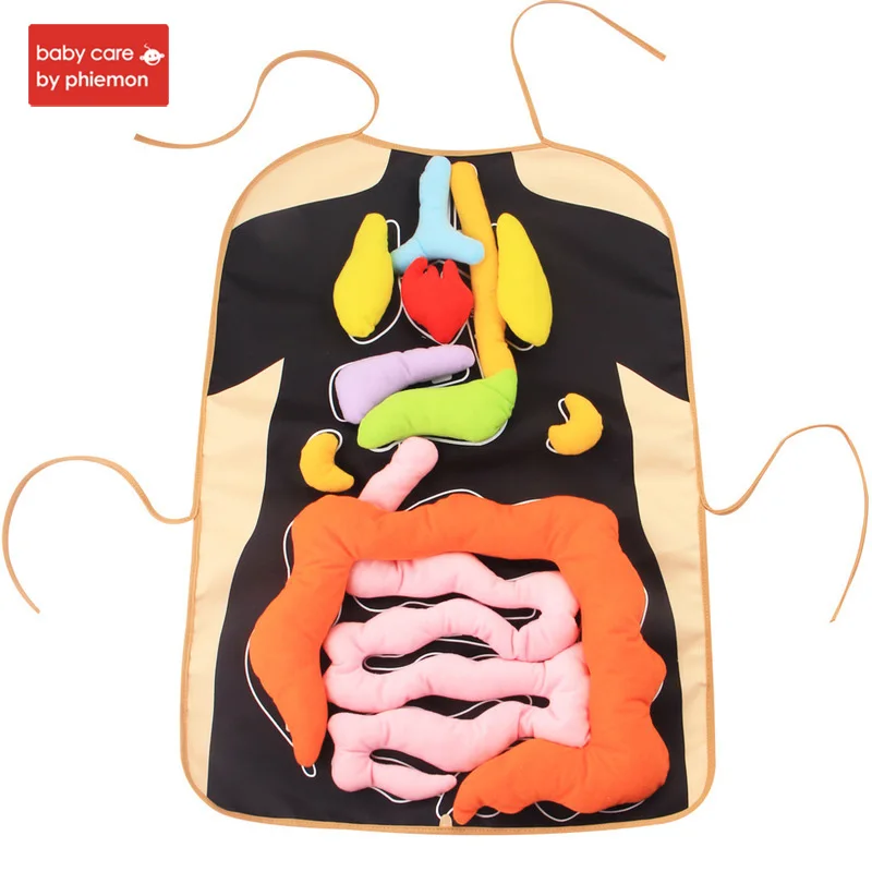 

3D Human Body Visceral Apron Anatomy Organs Awareness Educational Insights Apron Toys for Kids Home Preschool Physiological Toy