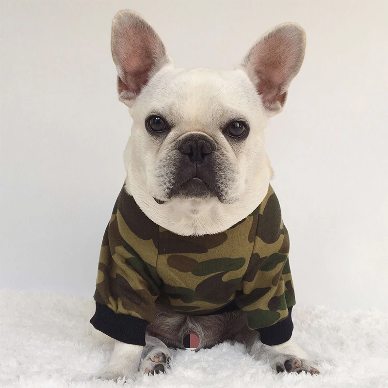 Goede Pet Dog Hoodie Kleding Warm Kat Puppy Jas Kleding Vlinder Cartoon Cli euml;nteel voor Kleine Middelgrote Honden Chihuahua Hond Kleding