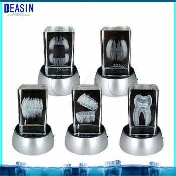 

1 pcs Dentist Gift Crafts 3Glowing 3D Tooth Model Clear Crystal Stand With LED Lamp Stand Character Tooth Colorful