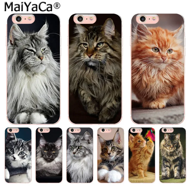 MaiYaCa pet Кот мейн-кун для iPhone 4S SE 5C 5S 5 6 6S 7 8 Plus X XR XS MAX чехлы телефонов прозрачные