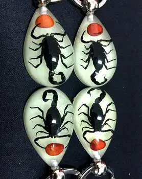

free shipping yqtdmy 12 pcs Embedded Red Bean Real Black scorpion Specimens Glow Drop Keychain