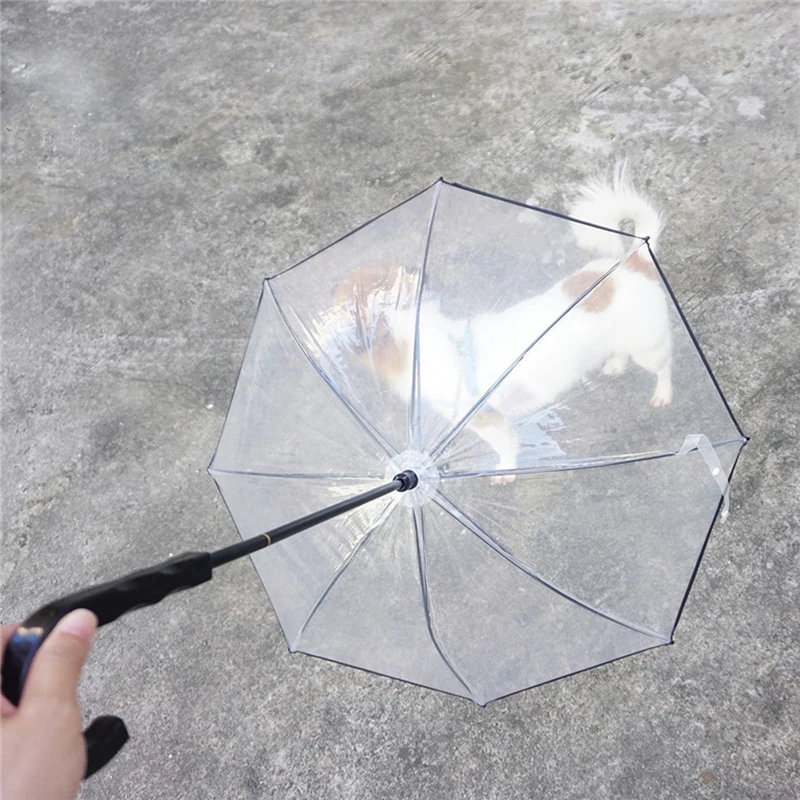 Прозрачный зонт для домашних животных, зонт для маленькой собаки с поводком для собаки, железная цепь, плащ для собак, красивая посылка, товары для домашних животных