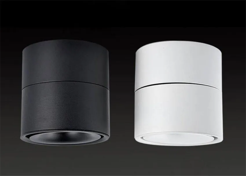 NR-54 Ceiling light  (7)