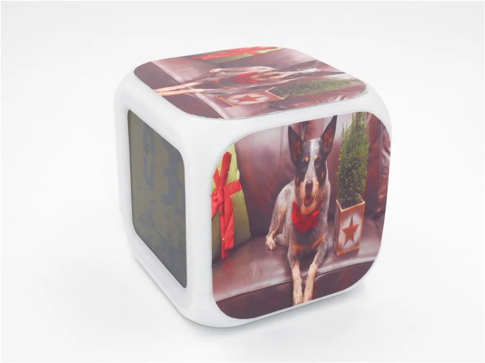 Australian Queensland Heeler Led Alarm Clock 2