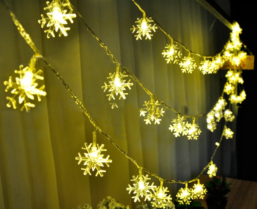 3630613736_1559958249