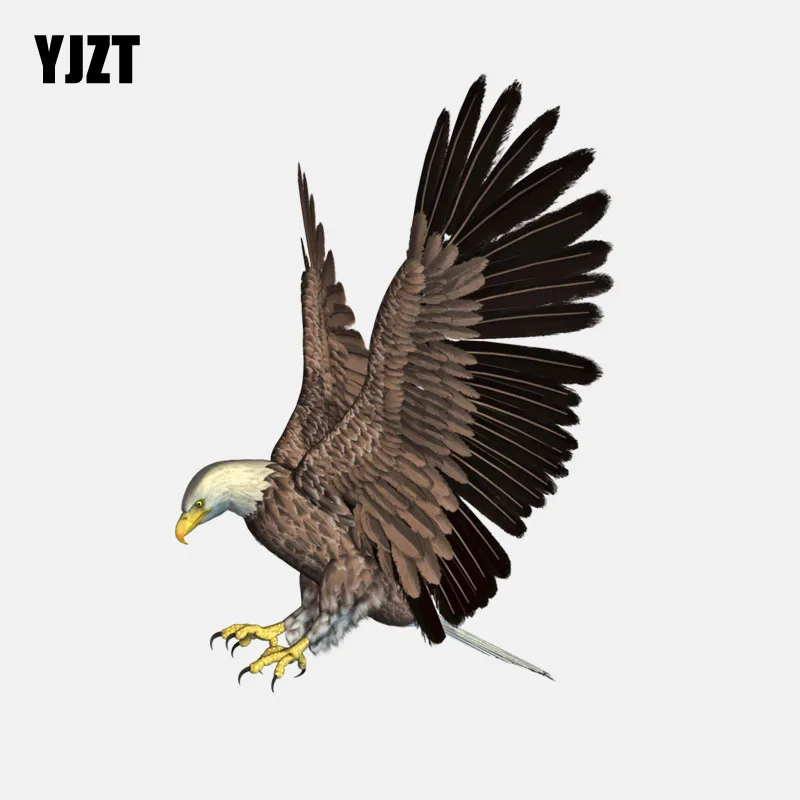 YJZT 10 3 см * 14 5 Prey Eagle Flight PVC Высококачественная Автомобильная наклейка 11