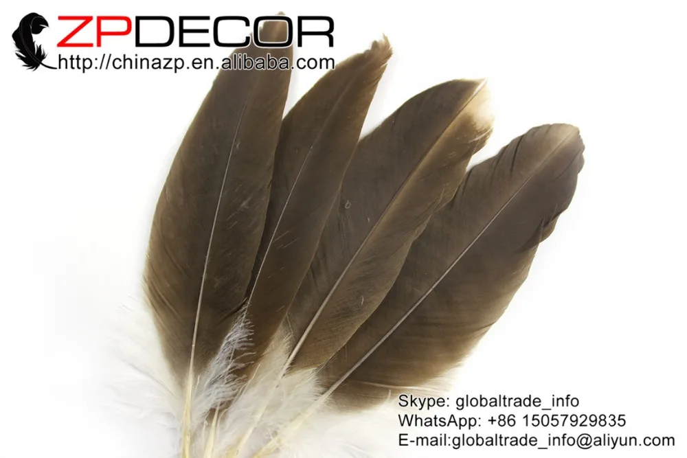 ZPDECOR перо 50 шт./лот 30 40 см (12 16 дюймов) ручной выбор высокое качество редкие и